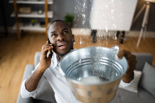 Best 24-hour water damage restoration  in Sisseton, SD