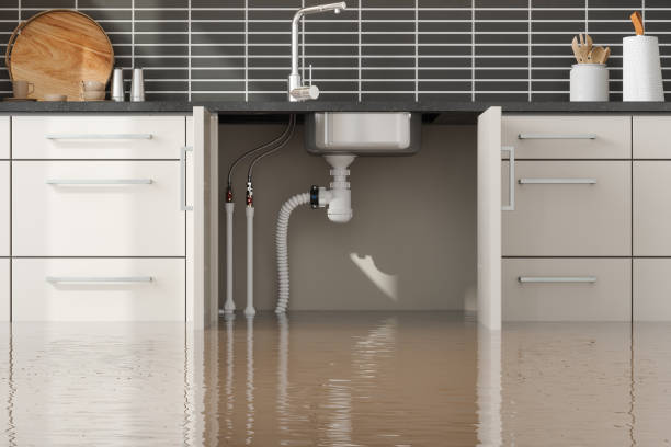 Best Flood damage cleanup  in Sisseton, SD