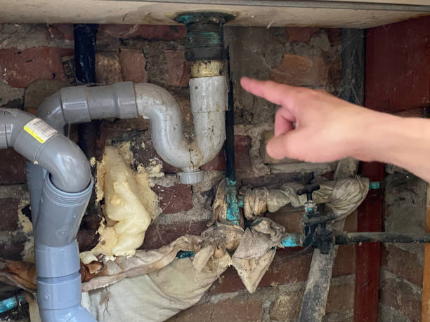 Best Water damage restoration near me  in Sisseton, SD
