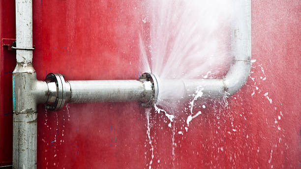 Best Water damage restoration company  in Sisseton, SD
