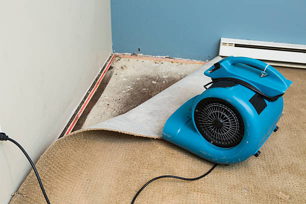Best 24/7 water damage repair  in Sisseton, SD
