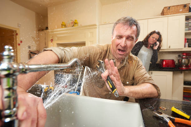 Best Mold removal after water damage  in Sisseton, SD